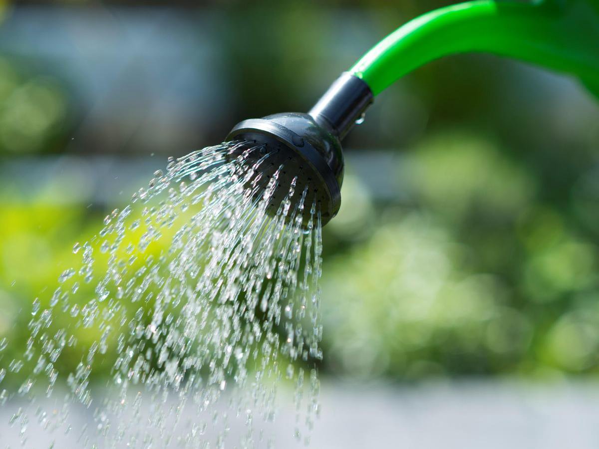 Nature Gieter 13 L 6071425 - Groen