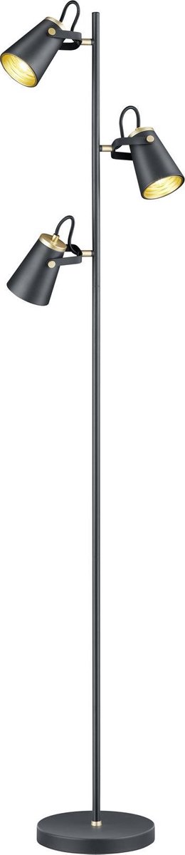 TRIO Edward Vloerlamp - Zwart