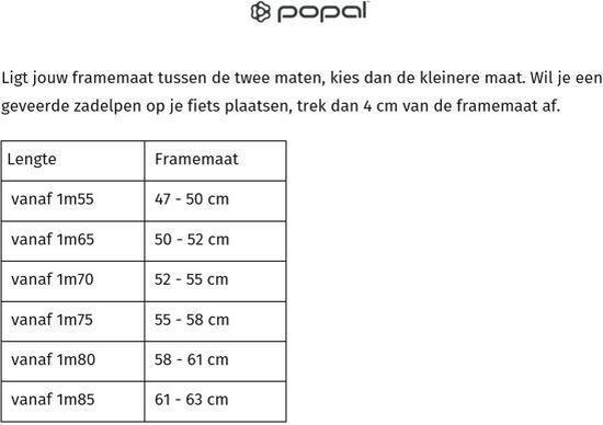 Popal Transportfiets Daily Dutch Basic Plus Heren Mat 57cm - Zwart