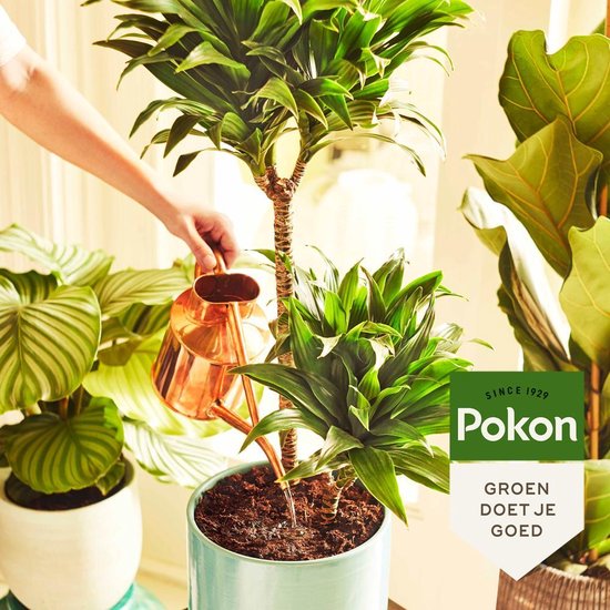 Pokon Kamerplanten Voeding 500ml