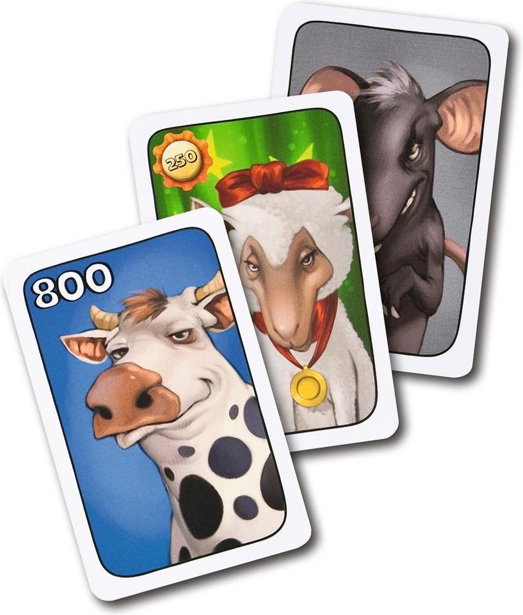 Ravensburger Koehandel Master