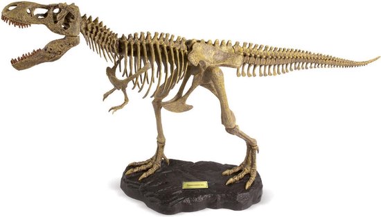 Geoworld Paleo Expeditie Set Tyrannosaurus Rex - Bruin
