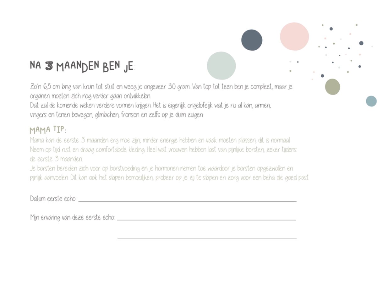 Jep Zwangerschapsboek veldgroen