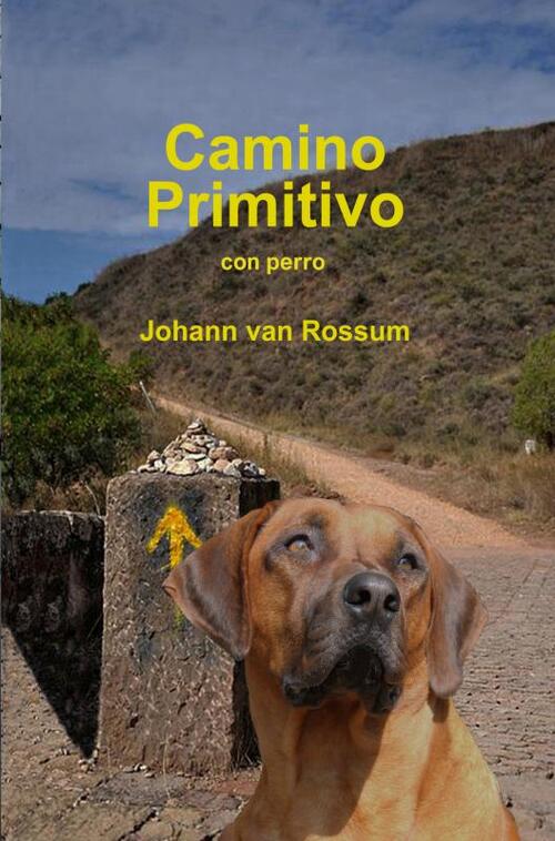 Brave New Books Camino Primitivo