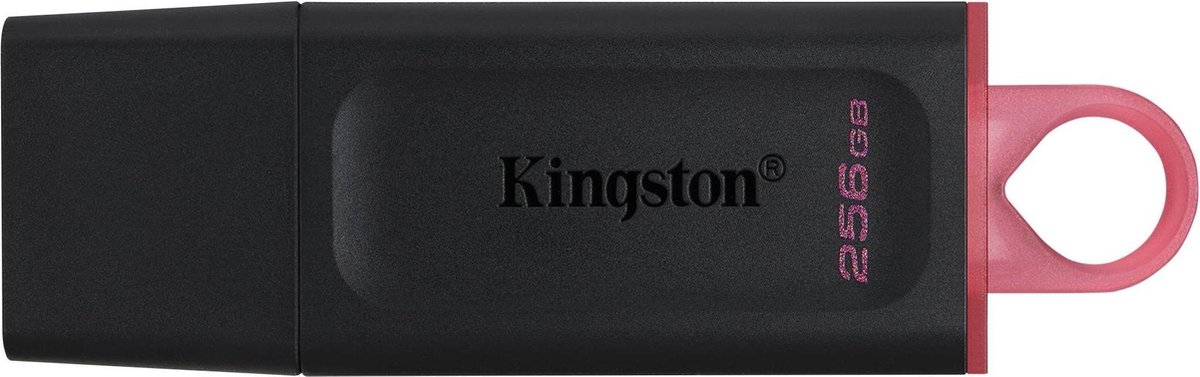 Kingston DataTraveler Exodia 256GB