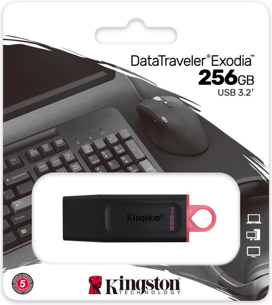 Kingston DataTraveler Exodia 256GB