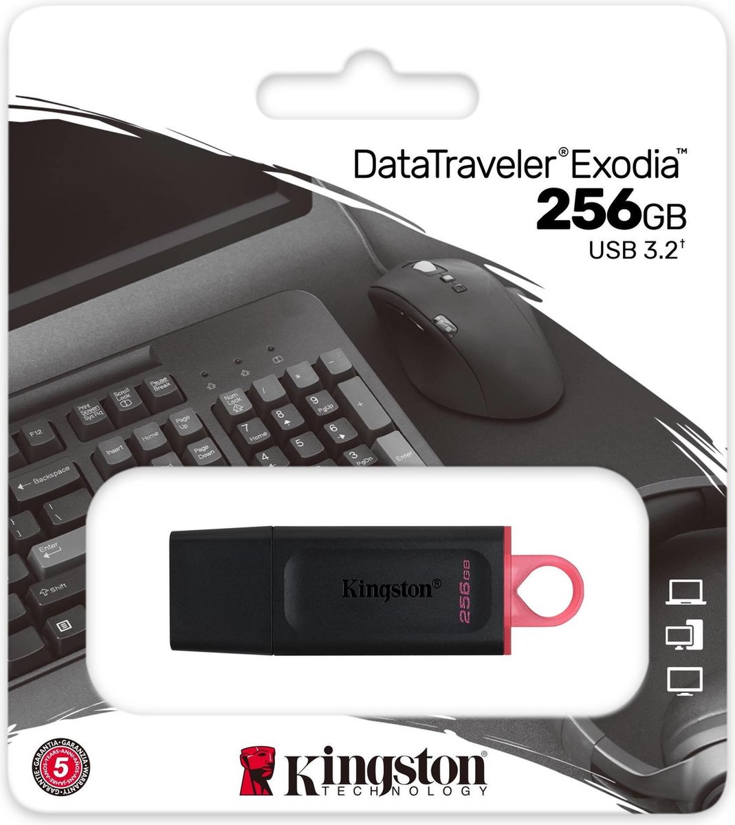 Kingston DataTraveler Exodia 256GB