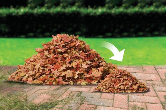 BLACK+DECKER BLACK+DECKER GW3030-QS