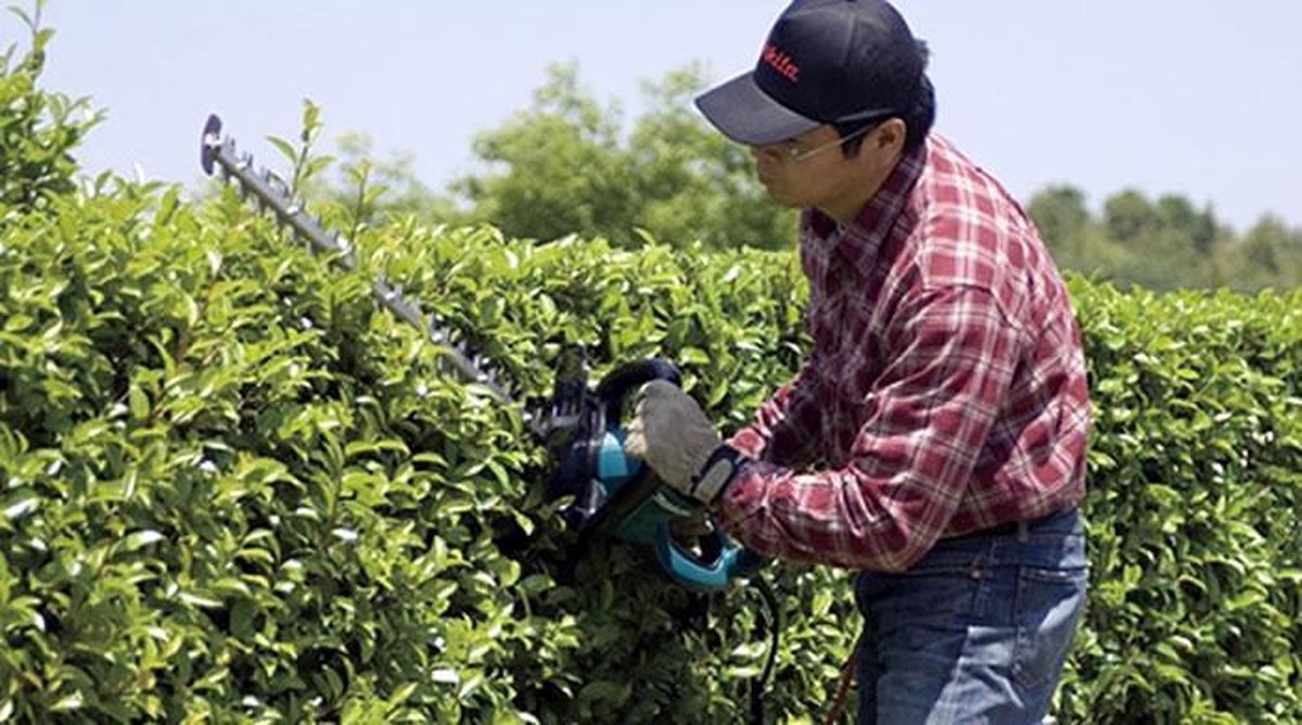 Makita UH5570 - Blauw