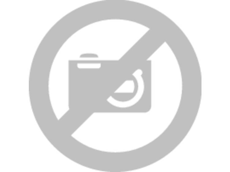 Bosch Diamantschijf 115 mm 2 stuks