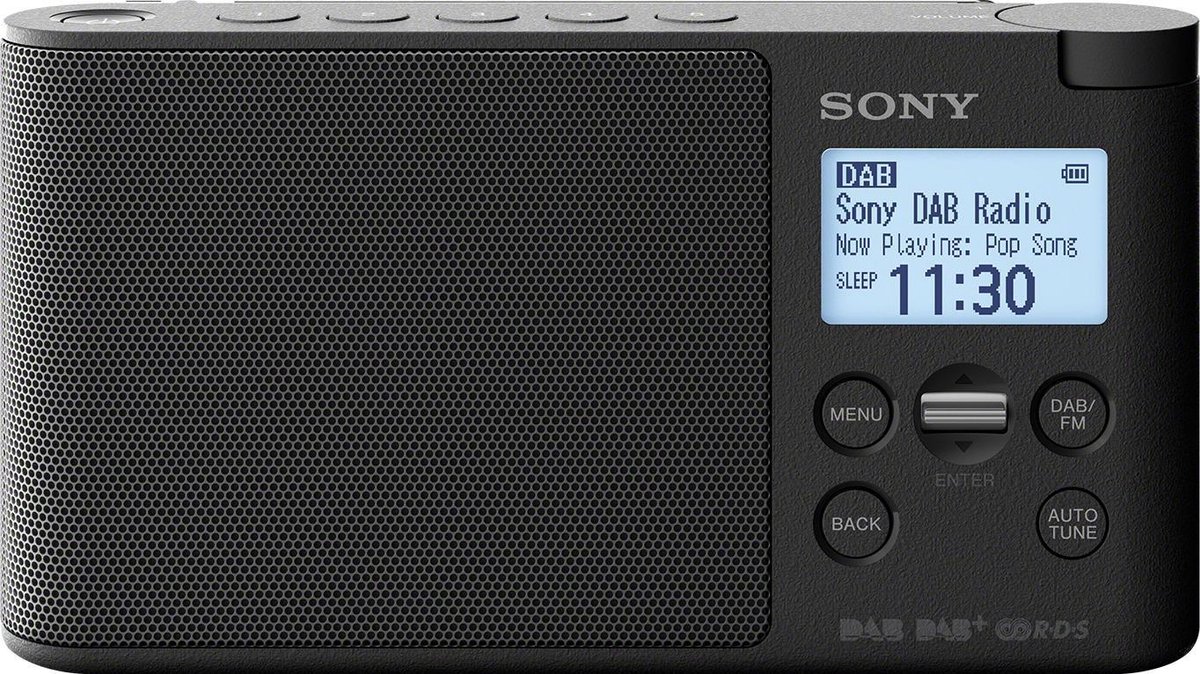 Sony XDR-S41D - Negro