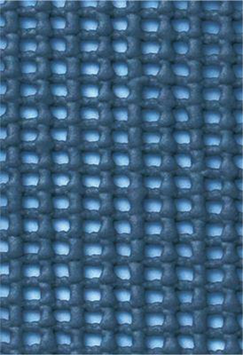 Eurotrail Tenttapijt 350x500 - Blauw