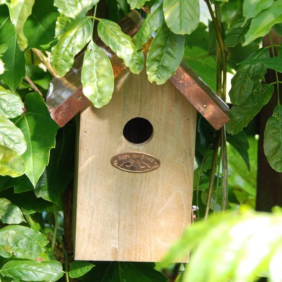 Best For Birds Nestkast winterkoning koperen dak