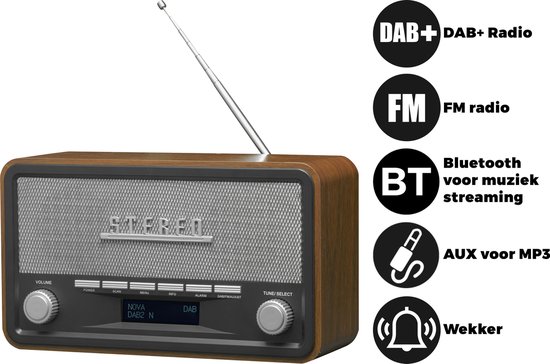 Denver DAB-18 - Bruin