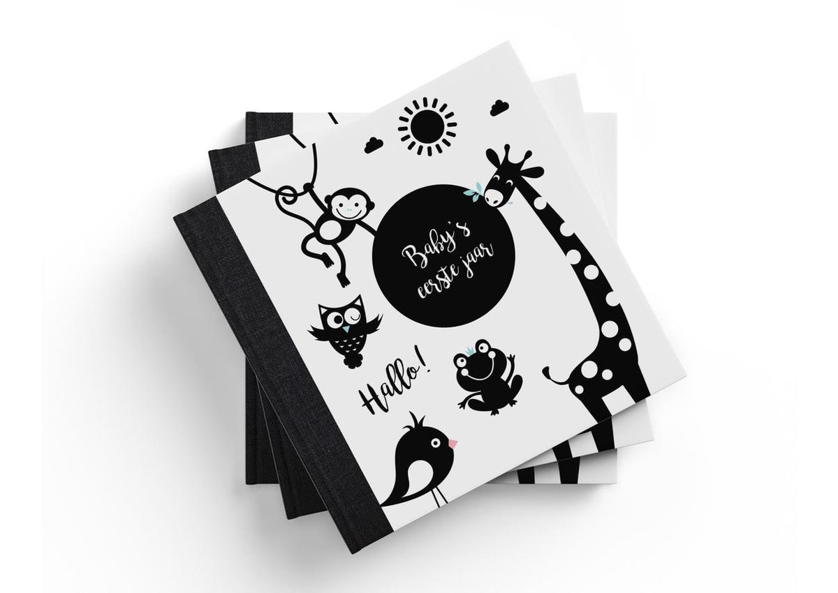 Image Books Baby's Eerste Jaar Hello Baby