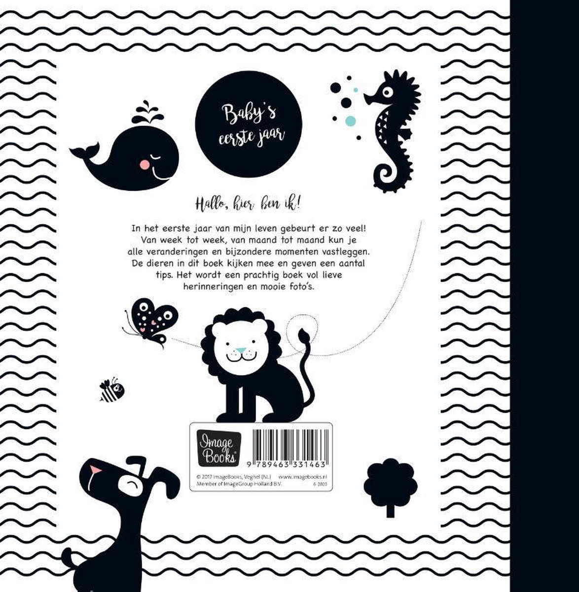Image Books Baby's Eerste Jaar Hello Baby
