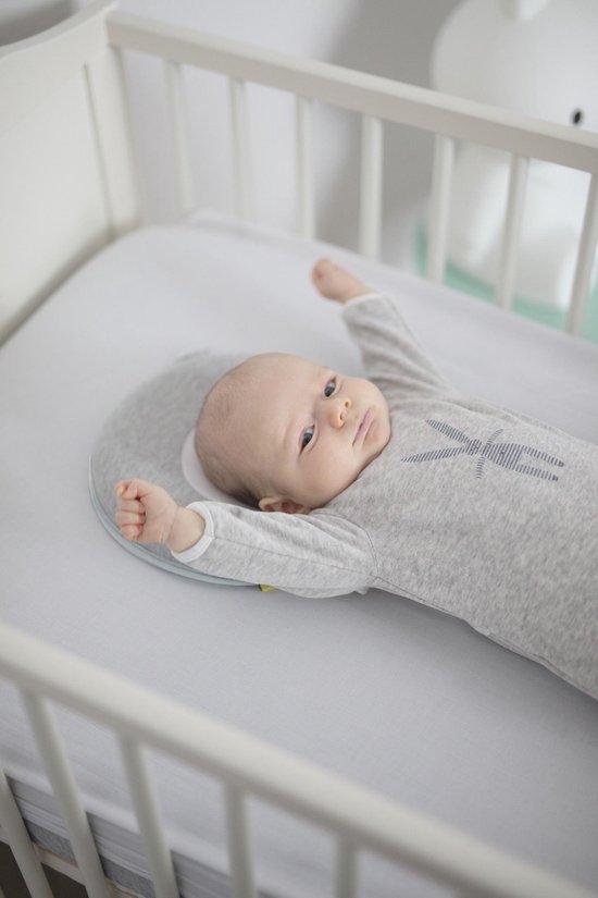 Babymoov Lovenest + Fresh Smokey - Grijs