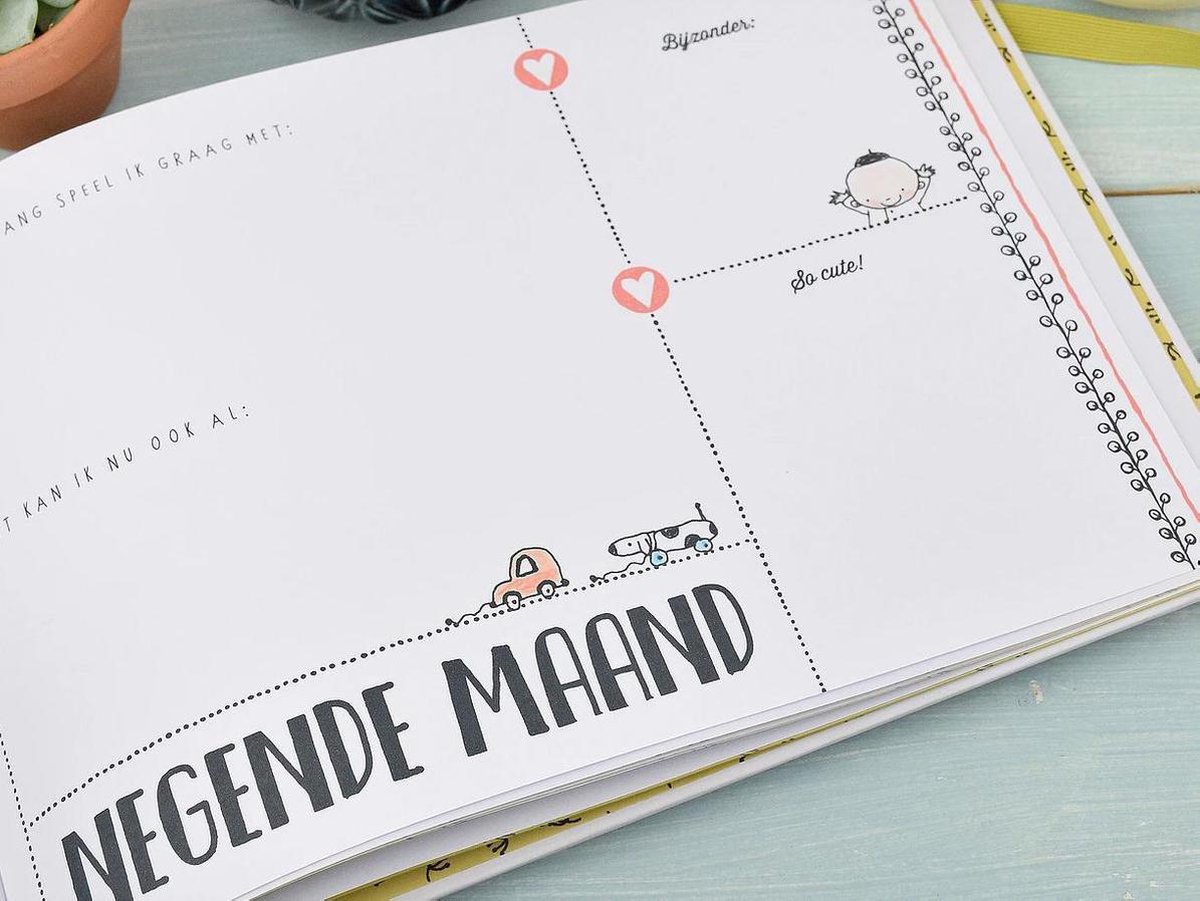 Image Books Baby's Eerste Jaar O'Baby Pauline Oud