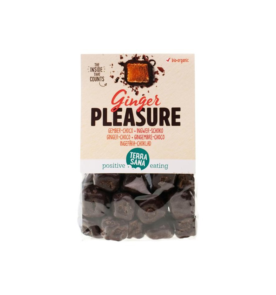 Terrasana Ginger pleasure choco 150 gram