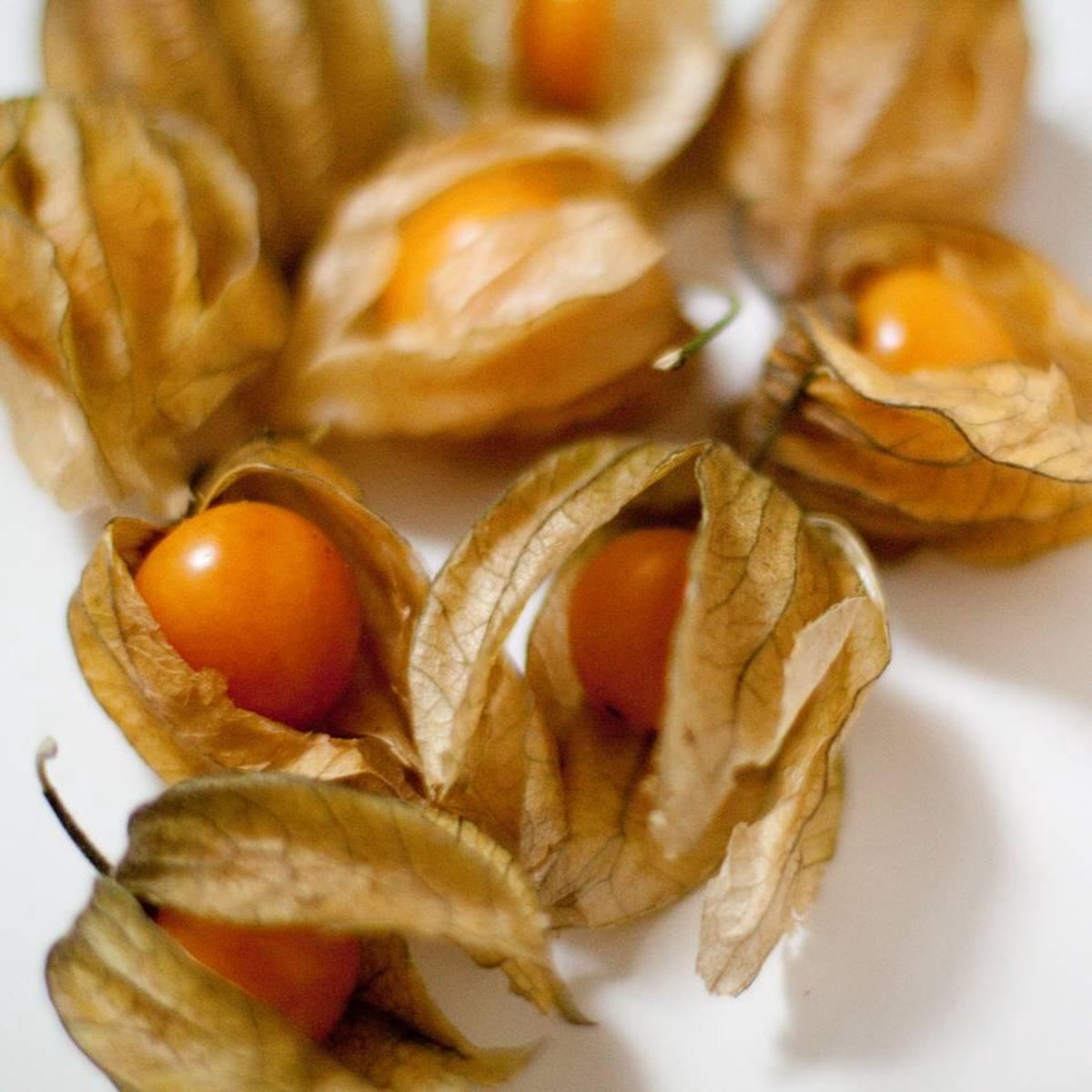 Mattisson Bessen golden Inca physalis bio 300 gram
