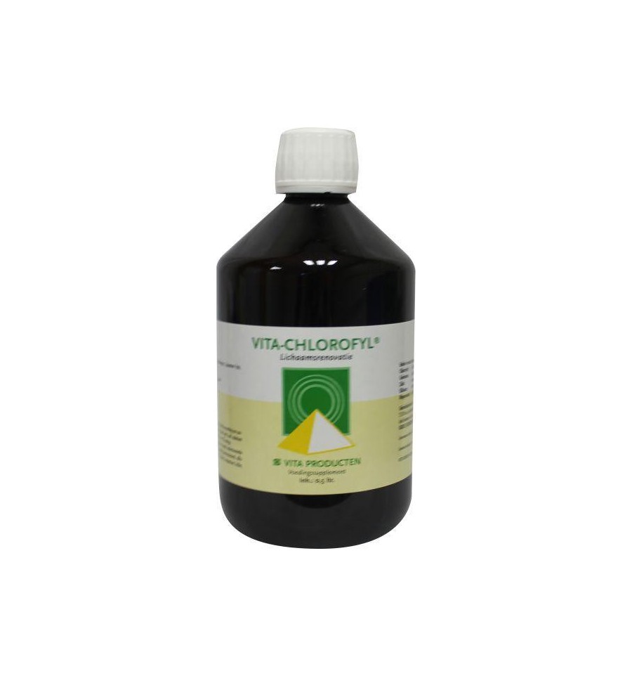 Vita Producten Vita chlorofyl 500 ml