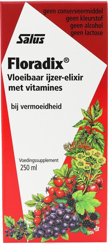 Salus Floradix ijzer elixer 250 ml