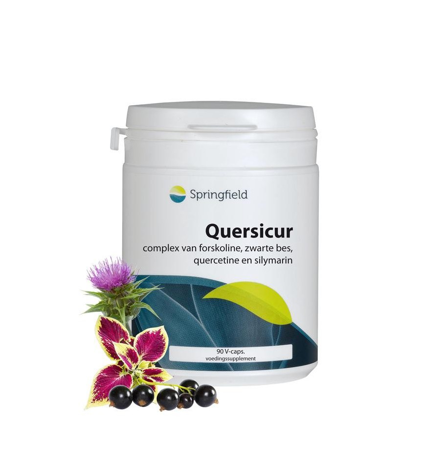 Springfield Quersicur antioxy complex 90 vcaps