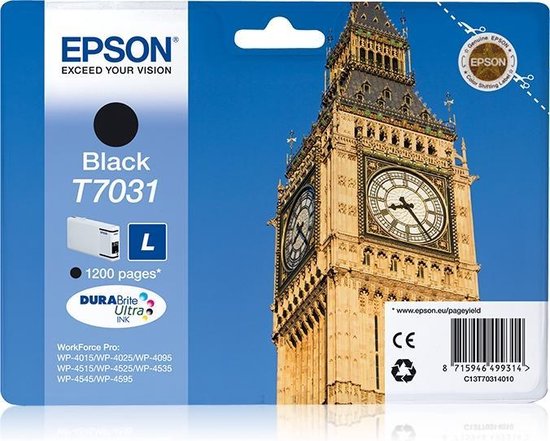 Epson T7031 - Inktcartridge / - Zwart