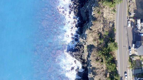 Holika Holika Aloe 99% Soothing Gel 250 ml.