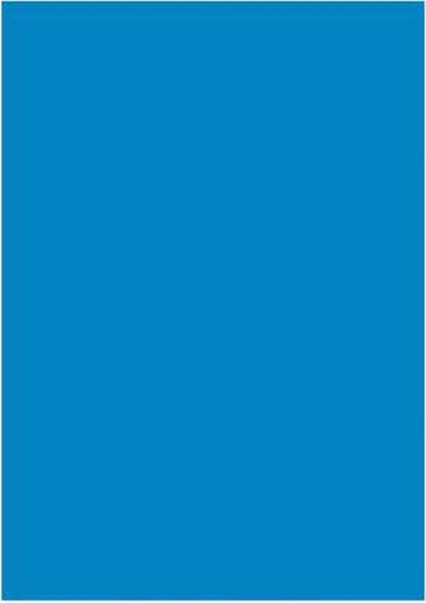 Kangaro papier A4 120gr pak a 100 vel - Blauw