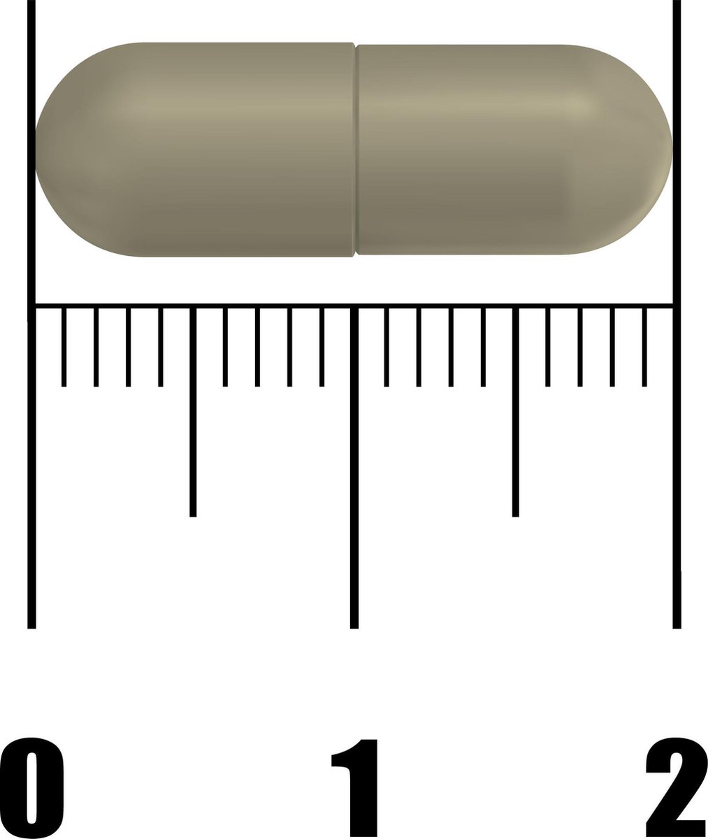 Fytostar Echinacea Extr 1250mg Capsules