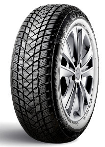 GT Radial Champiro Winterpro 2 ( 195/65 R15 91T ) - Zwart