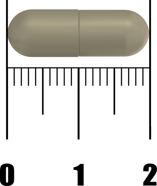 Fytostar Echinacea Forte Maxi