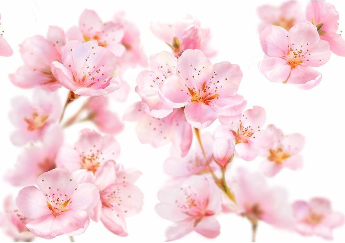 Kneipp Badschuim Amandel 400ml