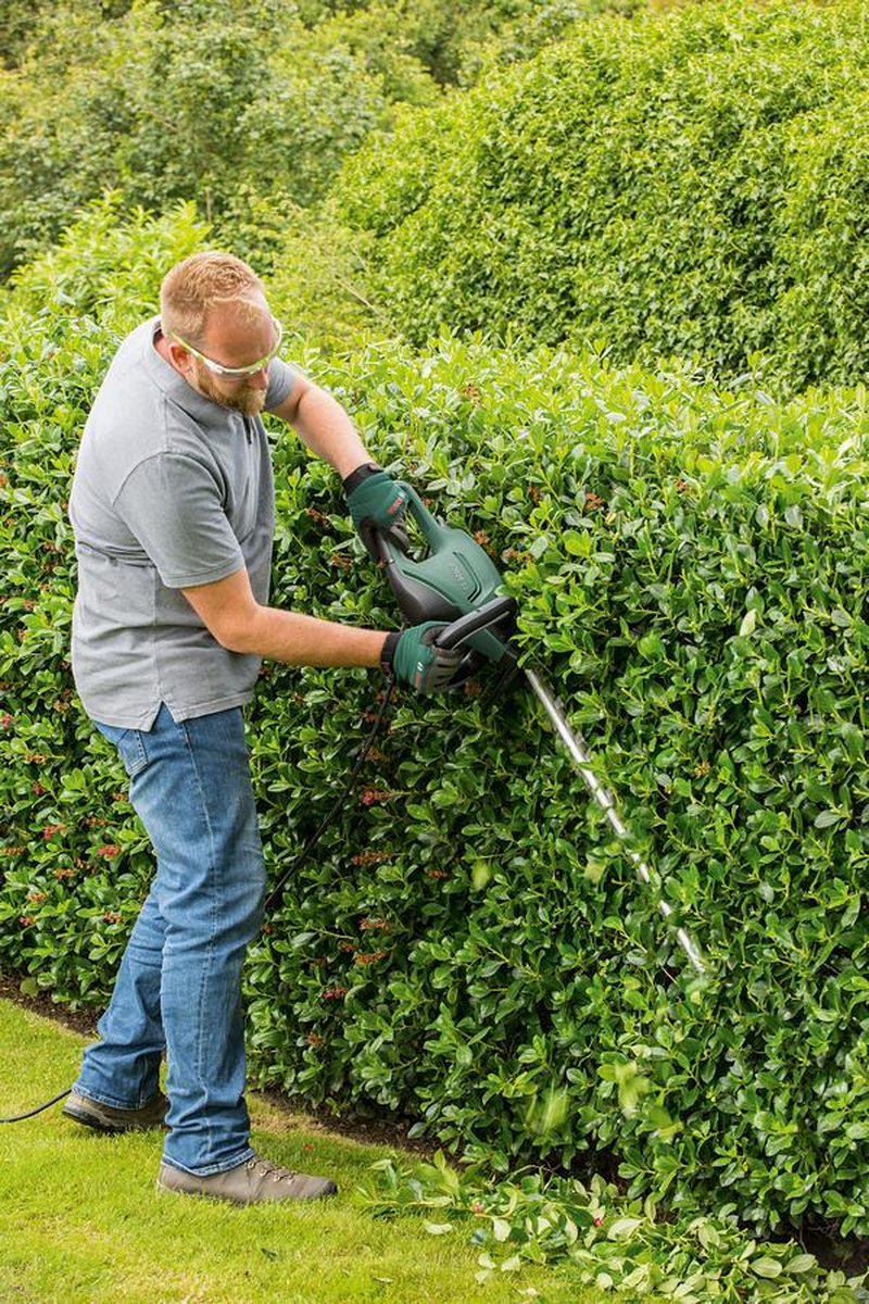 Bosch UniversalHedgeCut 50