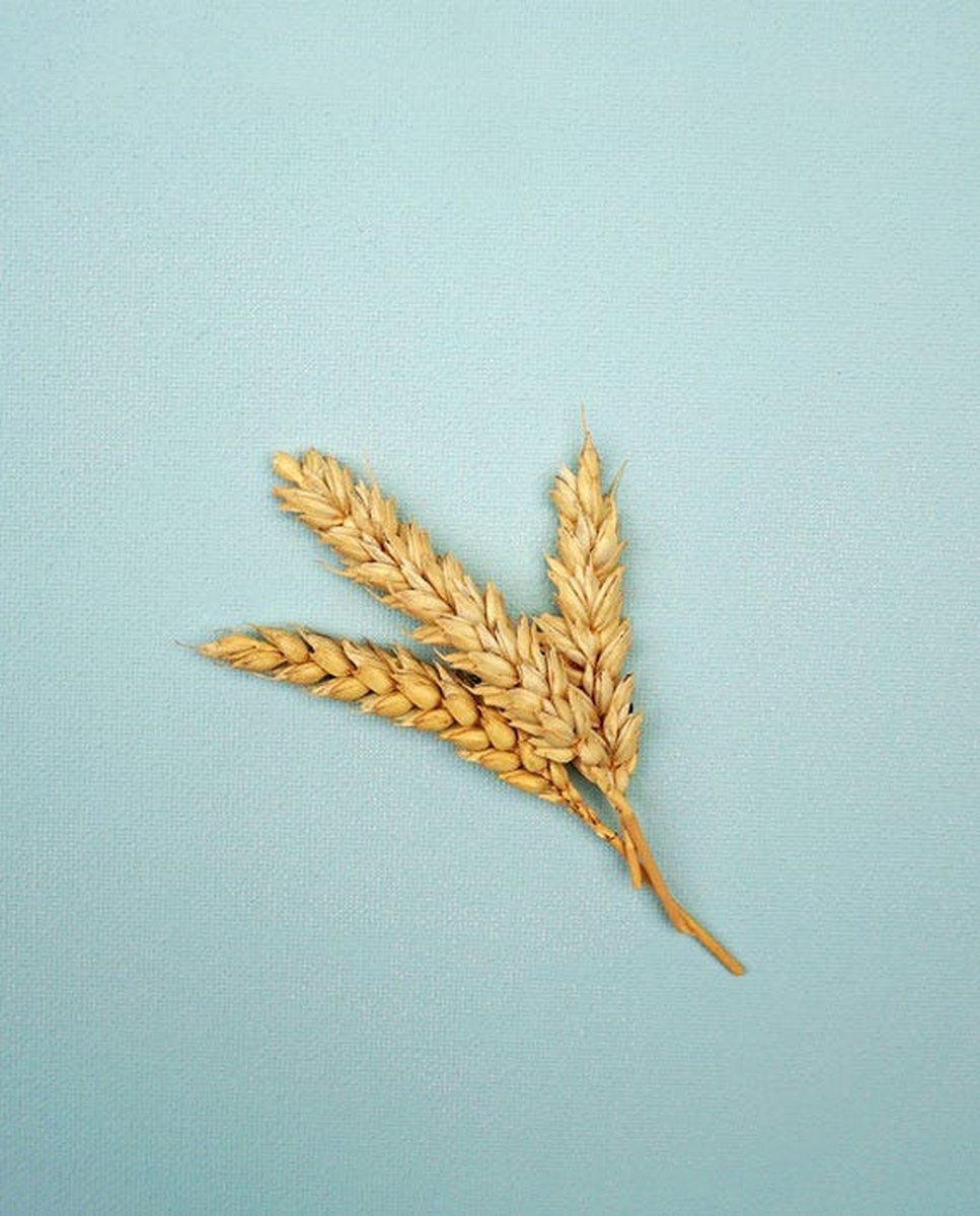 Naif Naïf Nourishing Shampoo Baby - Blauw