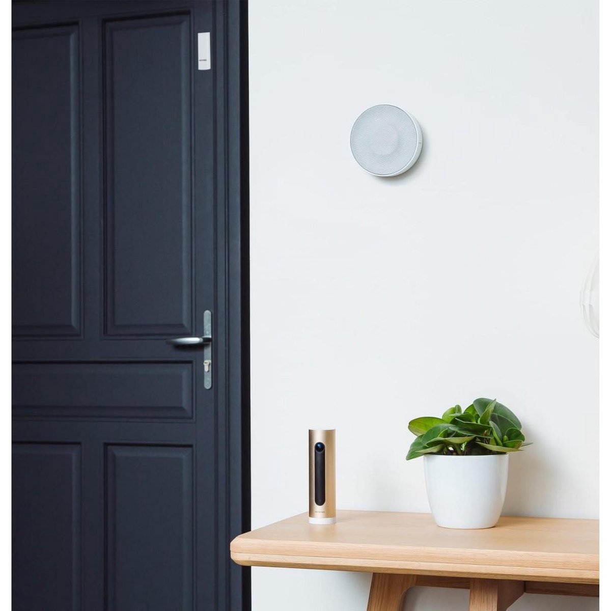 Netatmo Security Pack