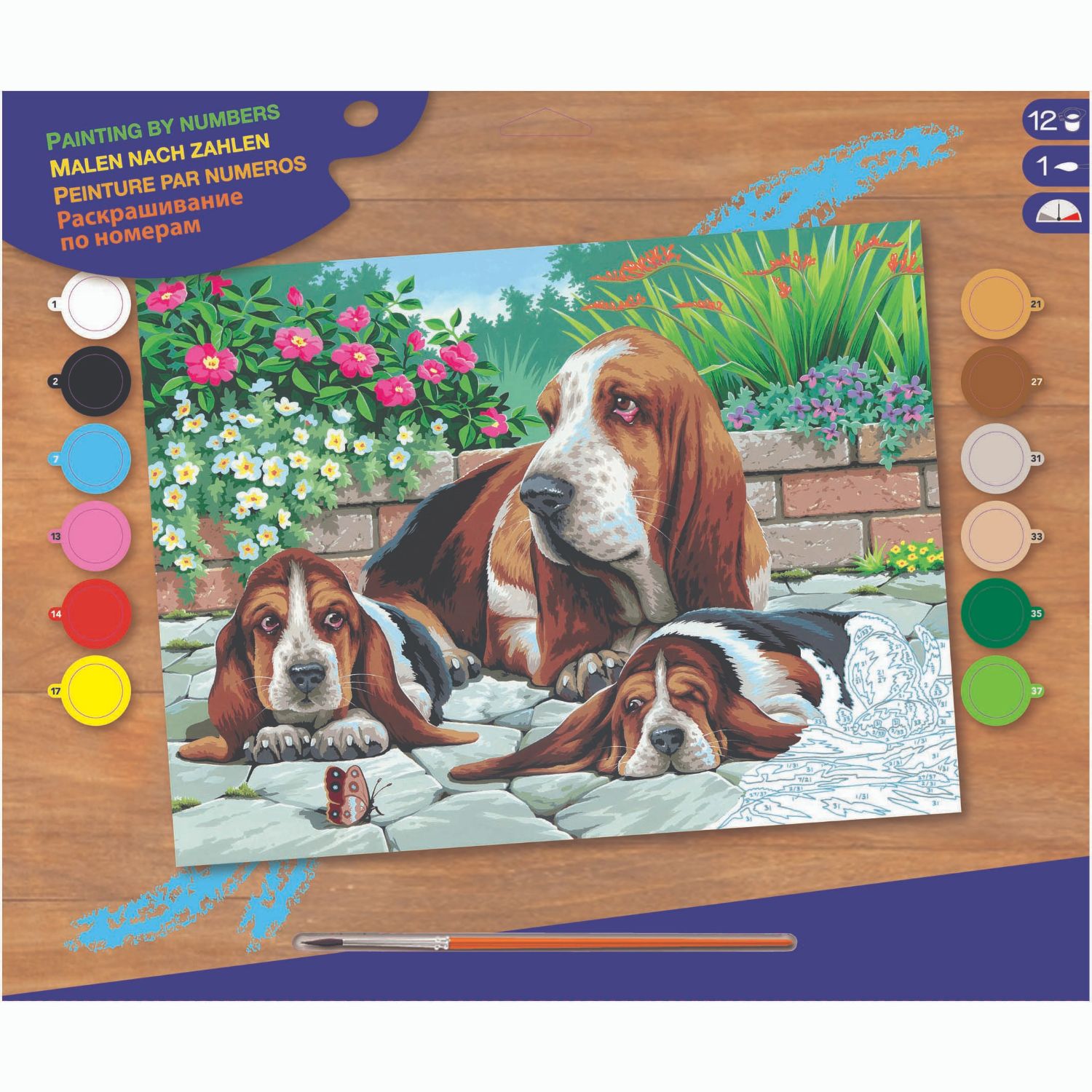 Top1Toys Schilderen Op Nummer Basset Honden