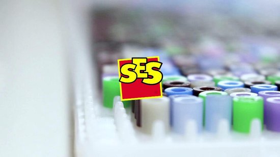 Ses BEEDZ ART: Strijkkralen Poes