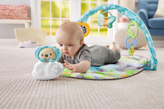 Fisher Price Vlinderdromen Gym