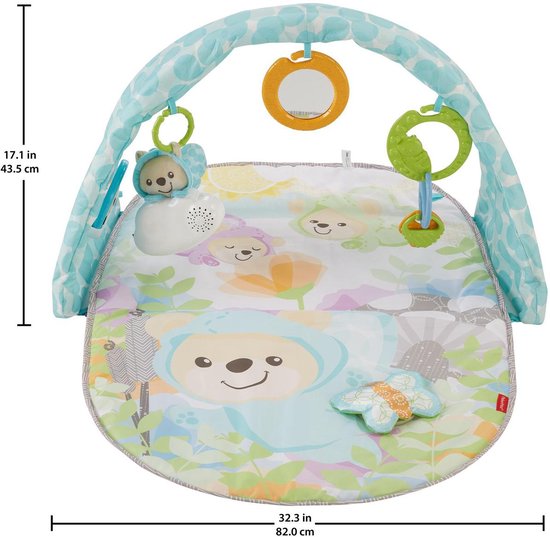 Fisher Price Vlinderdromen Gym