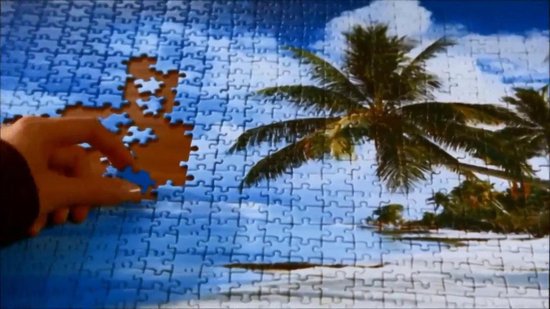 Ravensburger Puzzel Fleroux - New York, Cities Of The World 1000 Stukjes