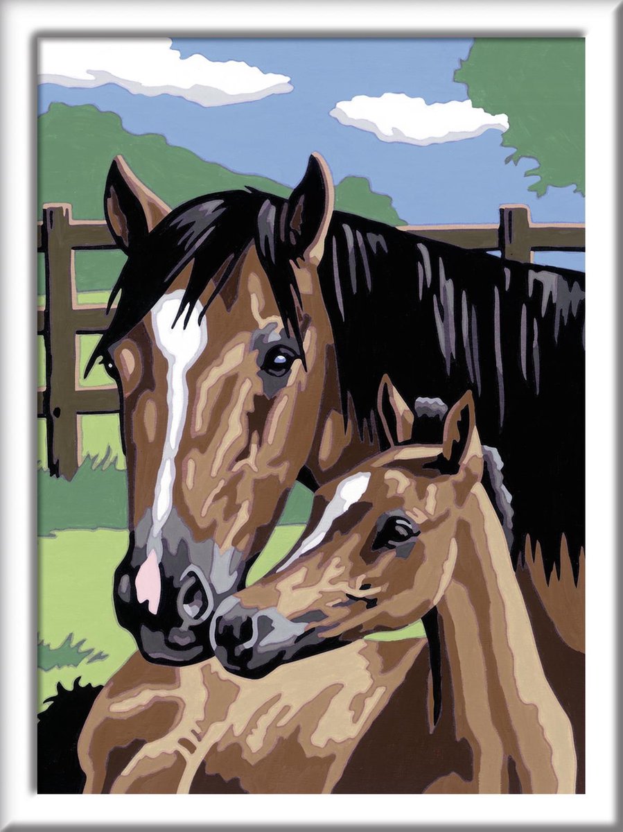 Ravensburger Schilderen Op Nummer Merrie Met Haar Veulen