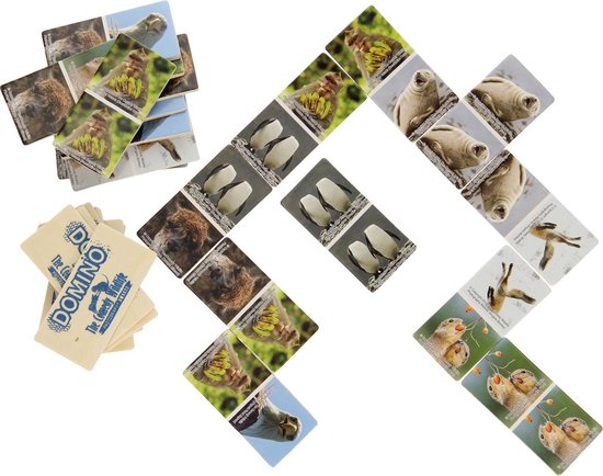The Comedy Wildlife houten domino dieren 28-delig
