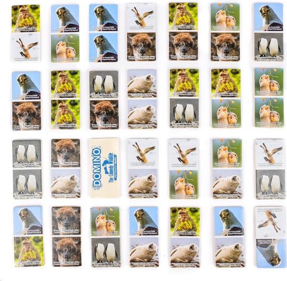 The Comedy Wildlife houten domino dieren 28-delig