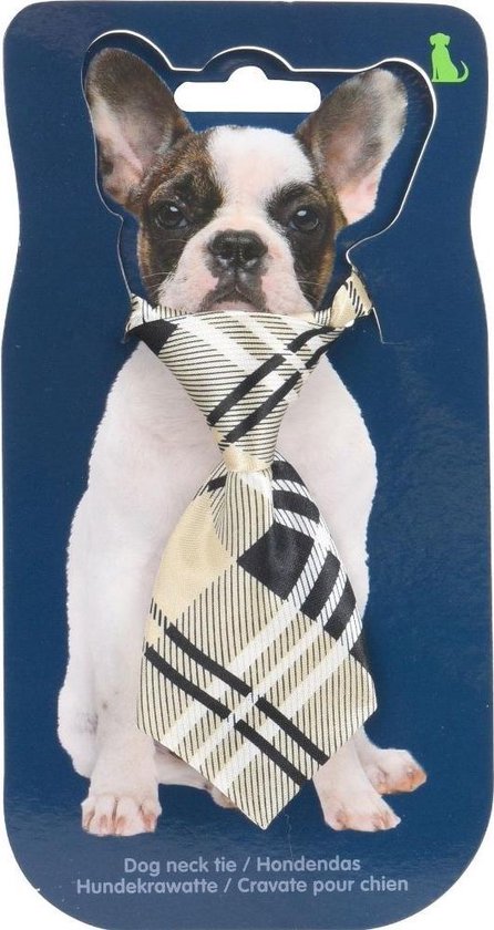 Orange85 Hondenhalsband met Das 3 stuks - Oranje