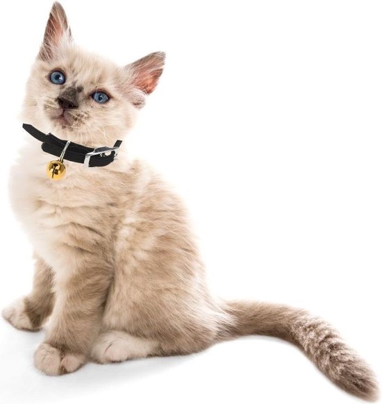 Orange85 Katten halsband met belletje - Zwart