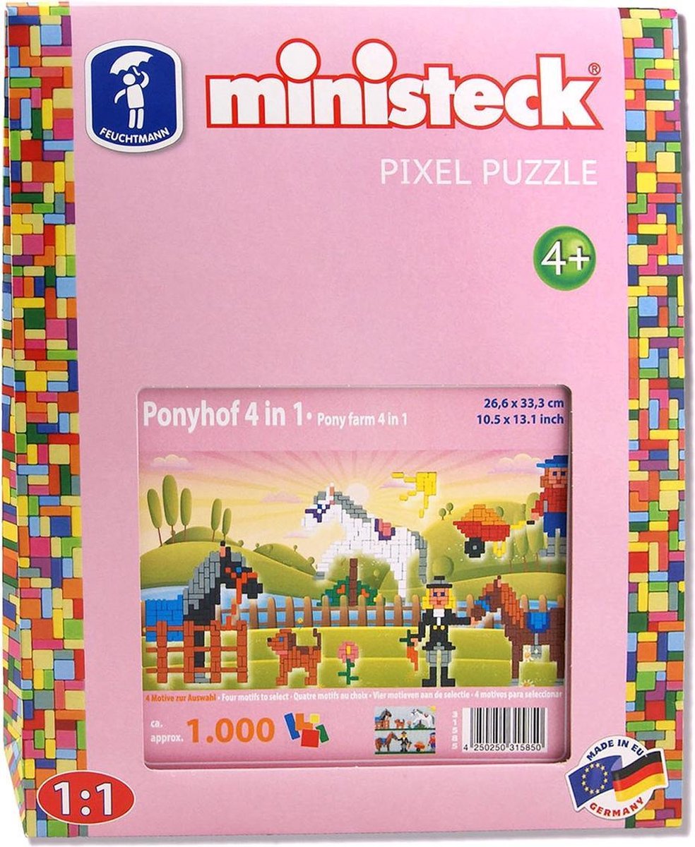 VSN / KOLMIO MEDIA Ponystal Ministeck XL 4-in-1 1000-delig