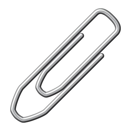 100 stuks kleine paperclips 21 mm - Silver