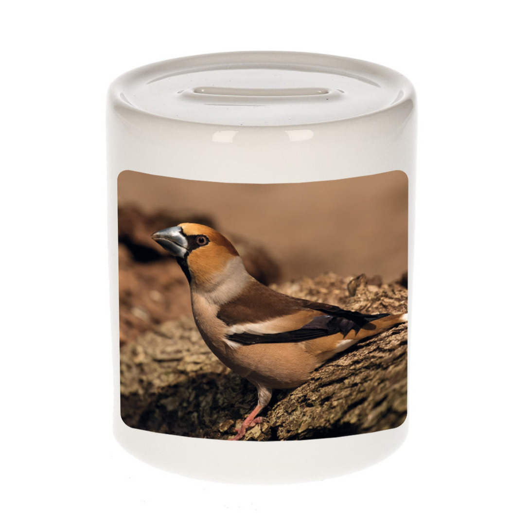 Bellatio Decorations Dieren appelvink vogel foto spaarpot 9 cm jongens en meisjes - Cadeau spaarpotten appelvink vogel vogels liefhebber